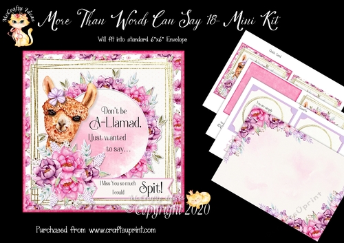 More Than Words Can Say 18 Card Front and Inserts Kit