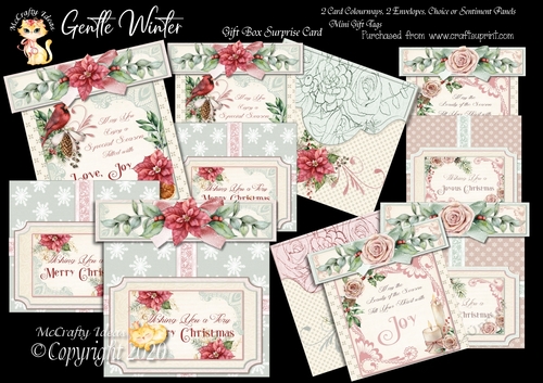 Gentle Winter Gift Box Surprise Card