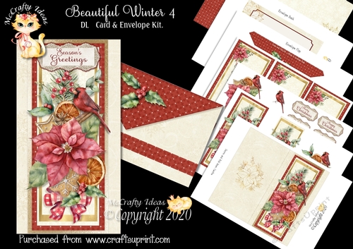 Beautiful Winter 4 DL  Card & Envelope Kit