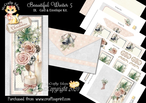 Beautiful Winter 5 DL  Card & Envelope Kit