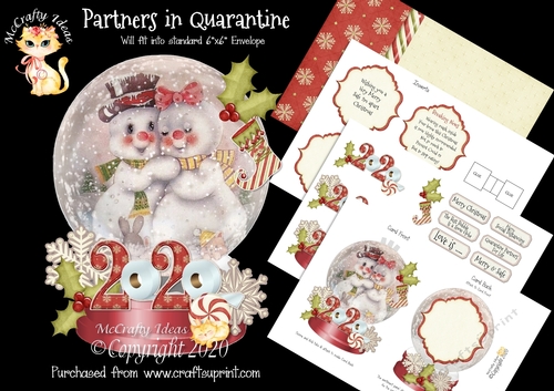 Partners in Quarantine Snow Globe Mini Kit