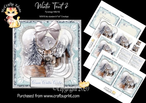 Winter Frost 2 5.5 x5.5 Pyramage Card front and Inserts Mini Kit