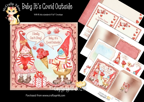 Baby Its Covid Outside Complete Card and Inserts Kit