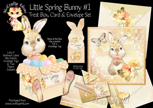 Little Spring Bunny #1 Treat Box, Card & Envelope Kit