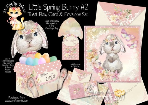 Little Spring Bunny #2 Treat Box, Card & Envelope Kit