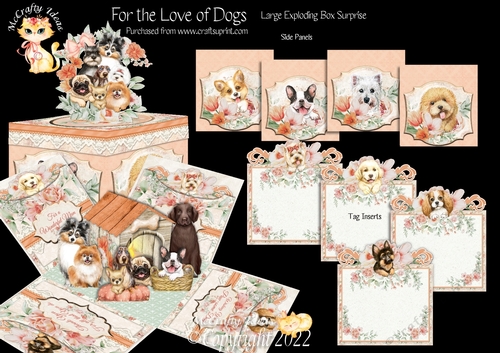 For the Love of Dogs Exploding Box Surprise