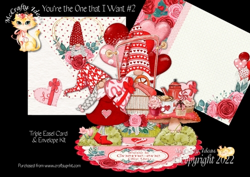 Youre the Gnome that I Want #2 Triple Easel Card Kit