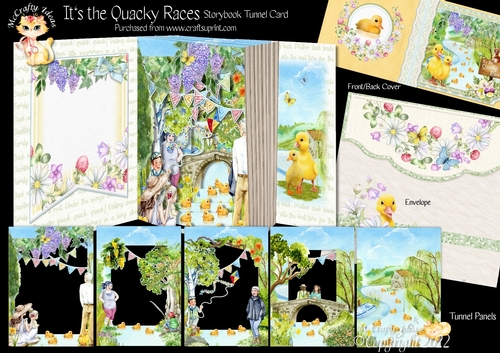Its the Quacky Races Storybook Pop Up Tunnel Card & Envelope Kit