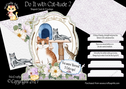 Do It with Cat-itude 2 Shaped 6x6 Card & Envelope Kit