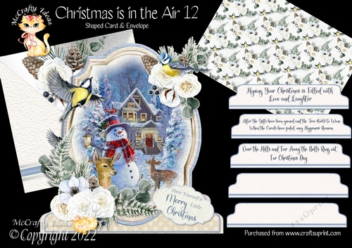 Christmas is in the Air 12 Shaped 6x6 Card & Envelope Kit