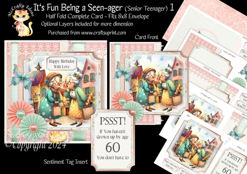 Its Fun being a Seen-Ager ( Senior Teenager) 1