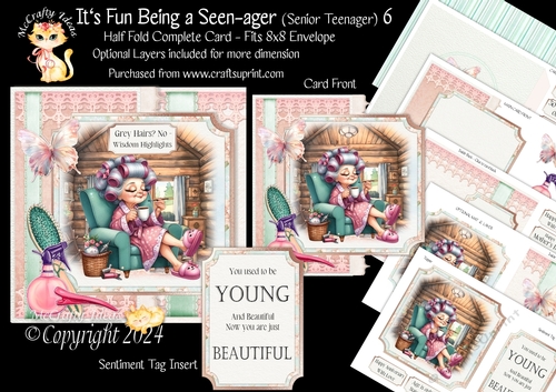 Its Fun being a Seen-Ager ( Senior Teenager) 6