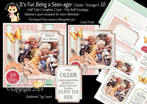 Its Fun being a Seen-Ager ( Senior Teenager) 10