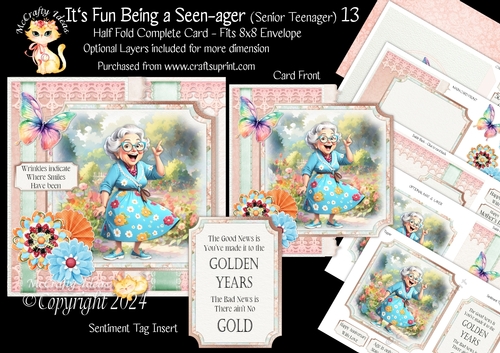 Its Fun being a Seen-Ager ( Senior Teenager) 13