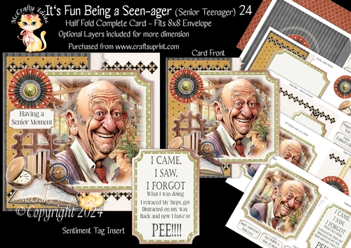 Its Fun being a Seen-Ager ( Senior Teenager) 24