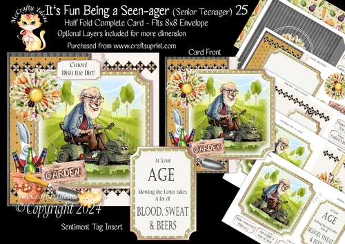 Its Fun being a Seen-Ager ( Senior Teenager) 25