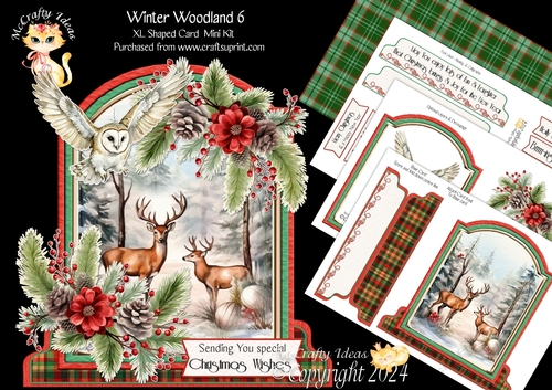 Winter Woodland 6