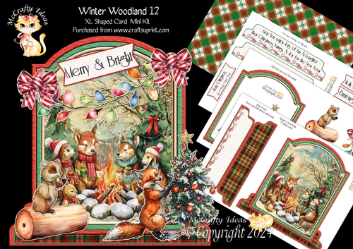 Winter Woodland 12