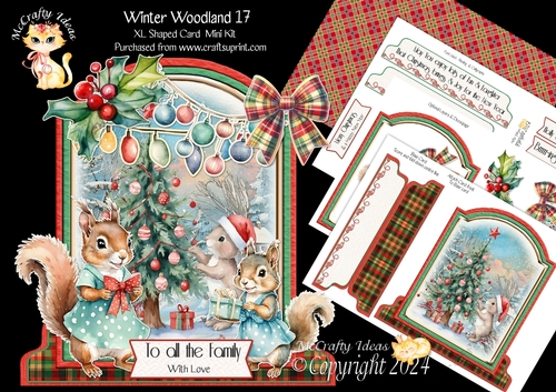 Winter Woodland 17