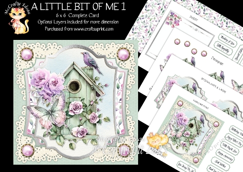 A Little Bit of Me 1