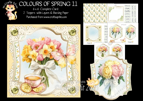 Colours of Spring 11 6x6