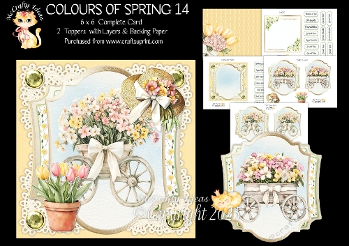 Colours of Spring 14 6x6