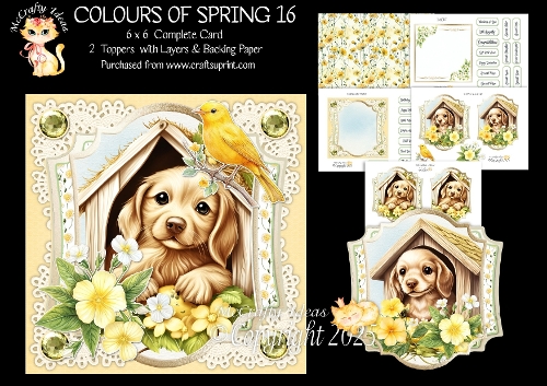 Colours of Spring 16 6x6