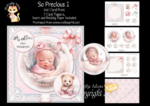 So Precious 1 6x6