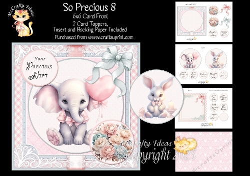 So Precious 8 6x6