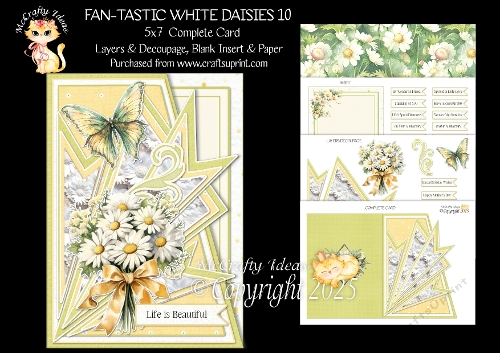 cup1377237_905 - Fan-tastic White Daisies 10 5x7