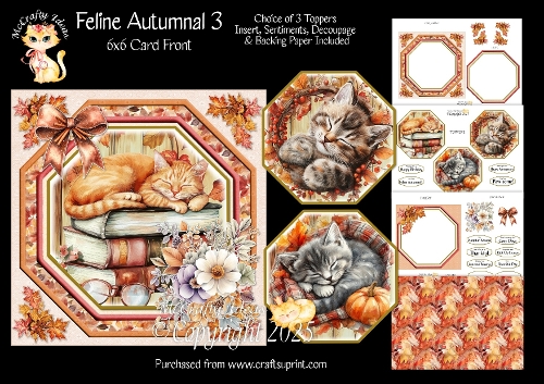 Feline Autumnal 3
