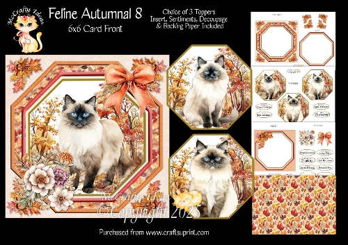 Feline Autumnal 8