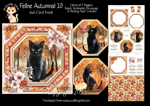 Feline Autumnal 10