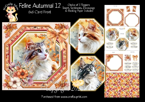 Feline Autumnal 12