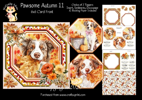 Pawsome Autumn 11