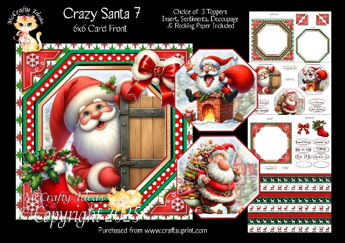 cup1400588_905 - Crazy Santa 7