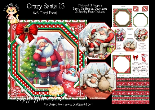 Crazy Santa 13