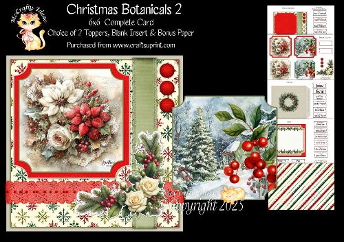 Christmas Botanicals 2 6x6