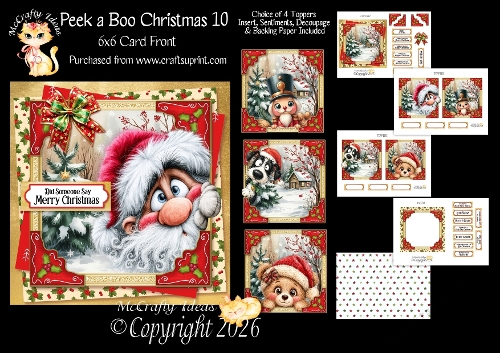 Peek a Boo Christmas 10 6x6