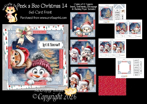 Peek a Boo Christmas 14 6x6