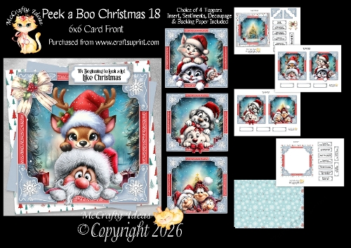 Peek a Boo Christmas 18 6x6