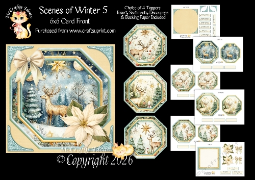 Scenes of Winter 5 6x6