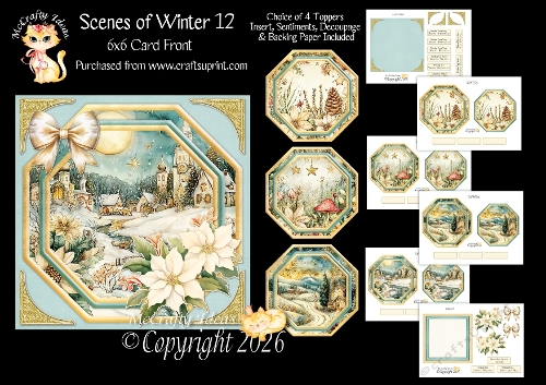 Scenes of Winter 12 6x6