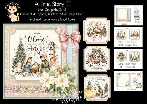 A True Story 11 6x6