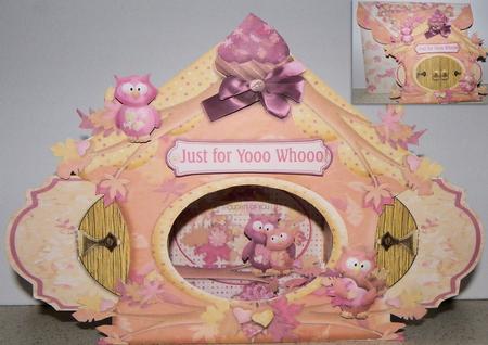 Scene It All - Owl House Kit