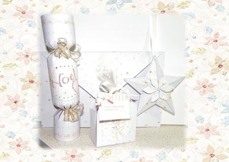 Noel Angelica Envelope and Gift Accessories