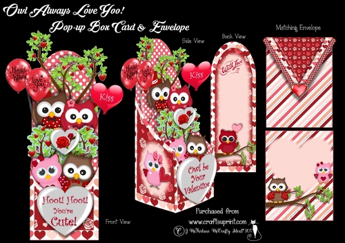 Owl always Love You  Popup Box Card & Envelope