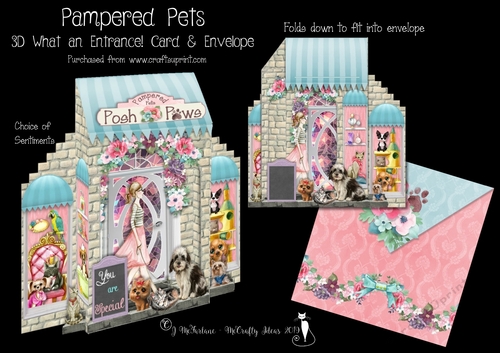 Pampered Pets 3D What an Entrance! Card and Envelope Kit.