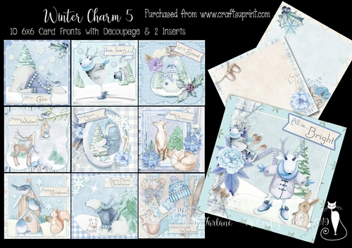 Winter Charm 5 - 10 6x6 Card Fronts & Inserts Kit.