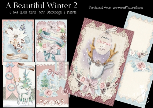 A Beautiful Winter 2 - 6x4 Card Front Kit